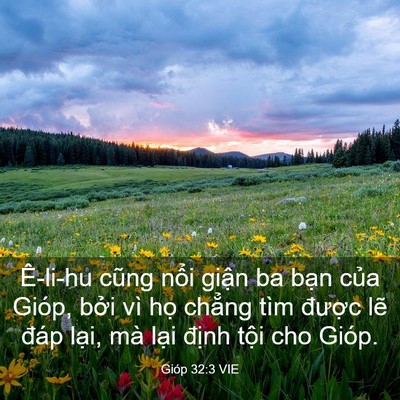 Picture 03 - Gióp 32:3 VIE - Ê-li-hu cũng nổi giận ba bạn của Gióp, - Bible Verse Picture