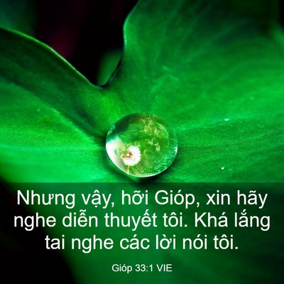 Picture 03 - Gióp 33:1 VIE - Nhưng vậy, hỡi Gióp, xin hãy nghe diễn - Bible Verse Picture