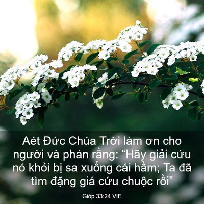 Picture 03 - Gióp 33:24 VIE - Aét Đức Chúa Trời làm ơn cho người - Bible Verse Picture