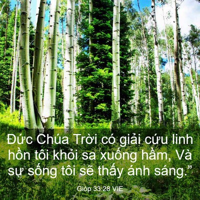 Picture 03 - Gióp 33:28 VIE - Đức Chúa Trời có giải cứu linh hồn - Bible Verse Picture
