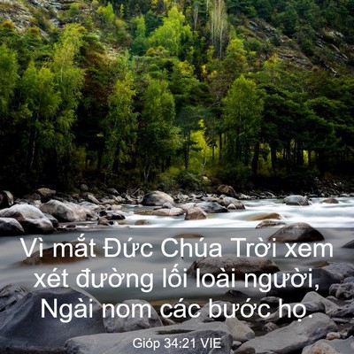 Picture 03 - Gióp 34:21 VIE - Vì mắt Đức Chúa Trời xem xét đường - Bible Verse Picture