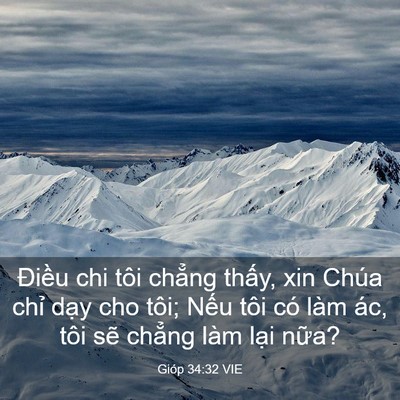 Picture 03 - Gióp 34:32 VIE - Điều chi tôi chẳng thấy, xin Chúa chỉ - Bible Verse Picture