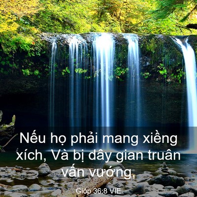 Picture 03 - Gióp 36:8 VIE - Nếu họ phải mang xiềng xích, Và bị - Bible Verse Picture