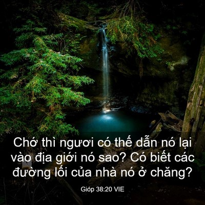 Picture 03 - Gióp 38:20 VIE - Chớ thì ngươi có thế dẫn nó lại vào - Bible Verse Picture
