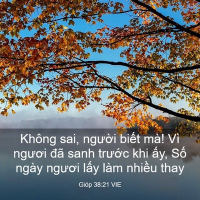 Picture 03 - Gióp 38:21 VIE - Không sai, người biết mà! Vì ngươi đã - Bible Verse Picture