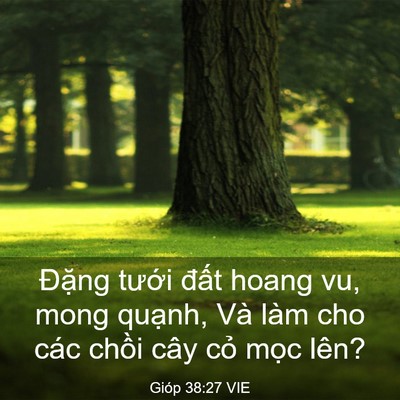 Picture 03 - Gióp 38:27 VIE - Đặng tưới đất hoang vu, mong quạnh, - Bible Verse Picture