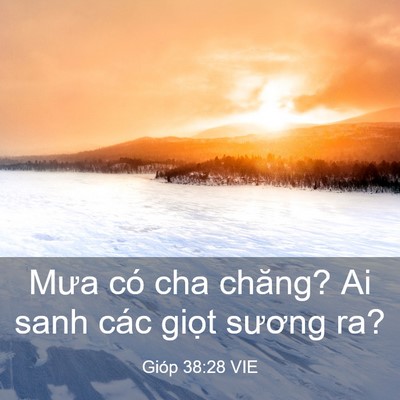 Picture 03 - Gióp 38:28 VIE - Mưa có cha chăng? Ai sanh các giọt sương - Bible Verse Picture