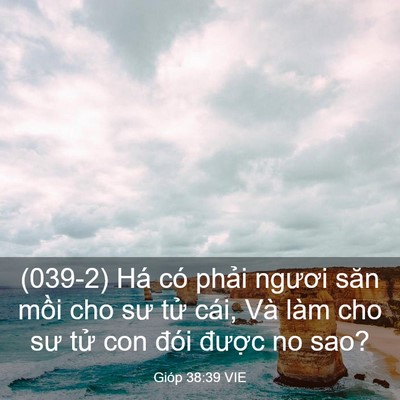 Picture 03 - Gióp 38:39 VIE - (039-2) Há có phải ngươi săn mồi cho sư - Bible Verse Picture