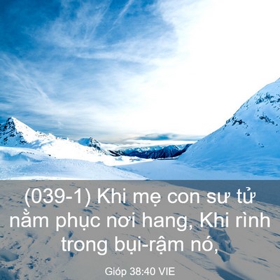 Picture 03 - Gióp 38:40 VIE - (039-1) Khi mẹ con sư tử nằm phục nơi - Bible Verse Picture