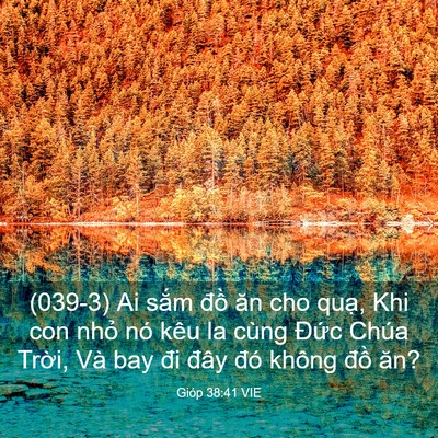 Picture 03 - Gióp 38:41 VIE - (039-3) Ai sắm đồ ăn cho quạ, Khi con - Bible Verse Picture