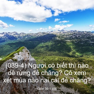 Picture 03 - Gióp 39:1 VIE - (039-4) Ngươi có biết thì nào dê rừng - Bible Verse Picture