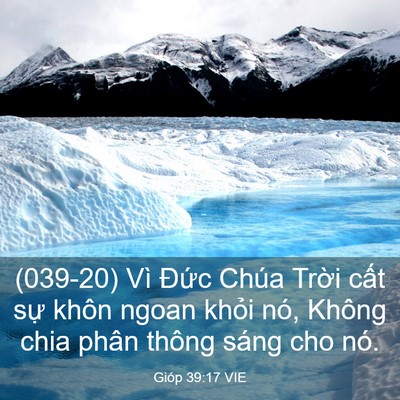Picture 03 - Gióp 39:17 VIE - (039-20) Vì Đức Chúa Trời cất sự khôn - Bible Verse Picture