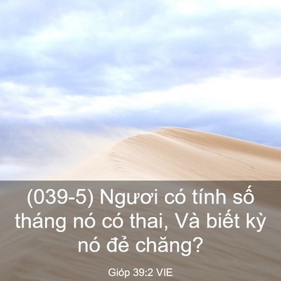 Picture 03 - Gióp 39:2 VIE - (039-5) Ngươi có tính số tháng nó có - Bible Verse Picture