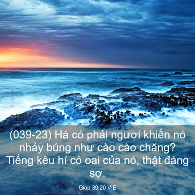 Picture 03 - Gióp 39:20 VIE - (039-23) Há có phải ngươi khiến nó - Bible Verse Picture