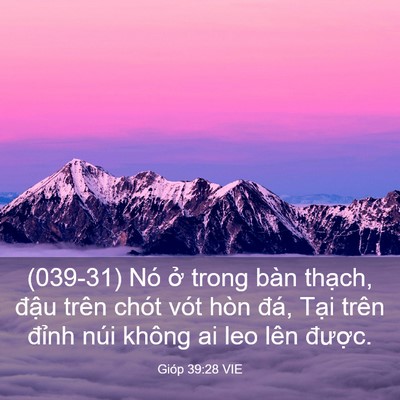 Picture 03 - Gióp 39:28 VIE - (039-31) Nó ở trong bàn thạch, đậu trên - Bible Verse Picture