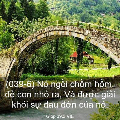 Picture 03 - Gióp 39:3 VIE - (039-6) Nó ngồi chồm hỗm, đẻ con nhỏ - Bible Verse Picture