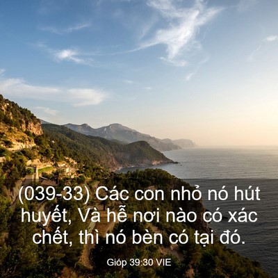 Picture 03 - Gióp 39:30 VIE - (039-33) Các con nhỏ nó hút huyết, Và - Bible Verse Picture