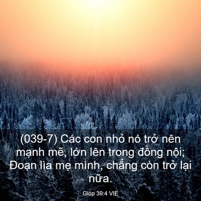 Picture 03 - Gióp 39:4 VIE - (039-7) Các con nhỏ nó trở nên mạnh - Bible Verse Picture