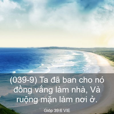 Picture 03 - Gióp 39:6 VIE - (039-9) Ta đã ban cho nó đồng vắng làm - Bible Verse Picture