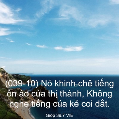 Picture 03 - Gióp 39:7 VIE - (039-10) Nó khinh chê tiếng ồn ào của - Bible Verse Picture
