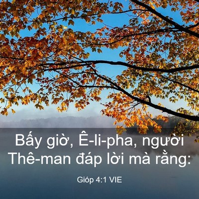 Picture 03 - Gióp 4:1 VIE - Bấy giờ, Ê-li-pha, người Thê-man đáp - Bible Verse Picture