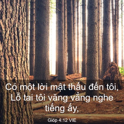 Picture 03 - Gióp 4:12 VIE - Có một lời mật thấu đến tôi, Lỗ - Bible Verse Picture