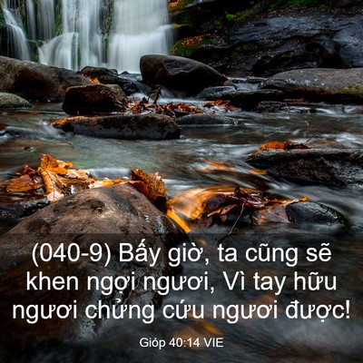 Picture 03 - Gióp 40:14 VIE - (040-9) Bấy giờ, ta cũng sẽ khen ngợi - Bible Verse Picture