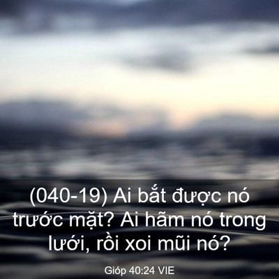 Picture 03 - Gióp 40:24 VIE - (040-19) Ai bắt được nó trước mặt? Ai - Bible Verse Picture