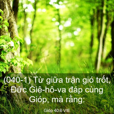 Picture 03 - Gióp 40:6 VIE - (040-1) Từ giữa trận gió trốt, Đức - Bible Verse Picture