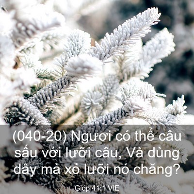 Picture 03 - Gióp 41:1 VIE - (040-20) Ngươi có thể câu sấu với - Bible Verse Picture