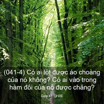 Picture 03 - Gióp 41:13 VIE - (041-4) Có ai lột được áo choàng của - Bible Verse Picture