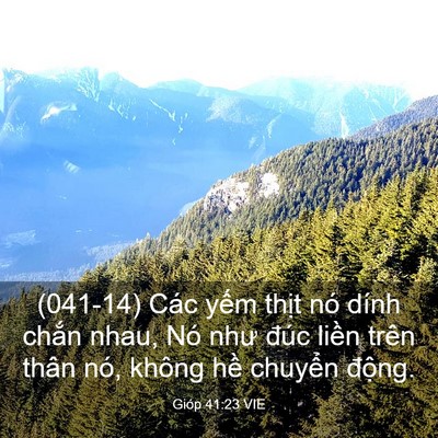 Picture 03 - Gióp 41:23 VIE - (041-14) Các yếm thịt nó dính chắn nhau, - Bible Verse Picture