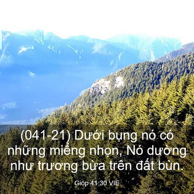 Picture 03 - Gióp 41:30 VIE - (041-21) Dưới bụng nó có những miểng - Bible Verse Picture