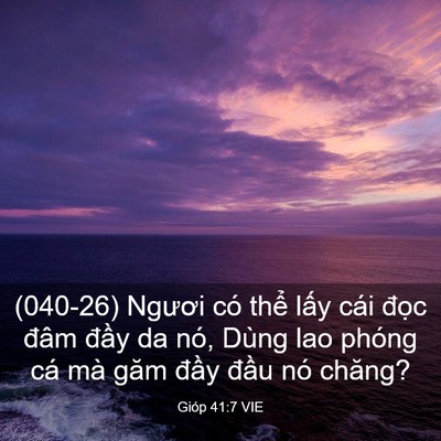 Picture 03 - Gióp 41:7 VIE - (040-26) Ngươi có thể lấy cái đọc - Bible Verse Picture