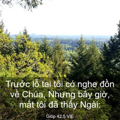 Picture 03 - Gióp 42:5 VIE - Trước lỗ tai tôi có nghe đồn về - Bible Verse Picture