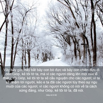 Picture 03 - Gióp 42:8 VIE - Vậy bây giờ, hãy bắt bảy con bò đực - Bible Verse Picture