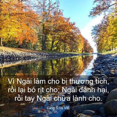 Picture 03 - Gióp 5:18 VIE - Vì Ngài làm cho bị thương tích, rồi - Bible Verse Picture