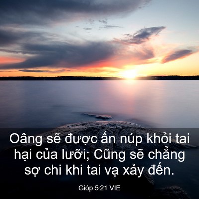 Picture 03 - Gióp 5:21 VIE - Oâng sẽ được ẩn núp khỏi tai hại - Bible Verse Picture