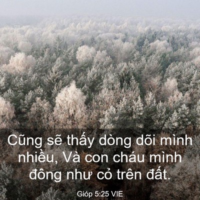 Picture 03 - Gióp 5:25 VIE - Cũng sẽ thấy dòng dõi mình nhiều, Và - Bible Verse Picture