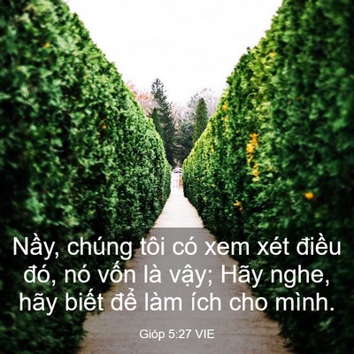 Picture 03 - Gióp 5:27 VIE - Nầy, chúng tôi có xem xét điều đó, nó - Bible Verse Picture