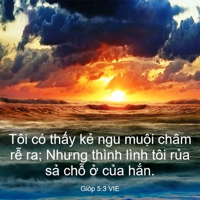 Picture 03 - Gióp 5:3 VIE - Tôi có thấy kẻ ngu muội châm rễ ra; - Bible Verse Picture