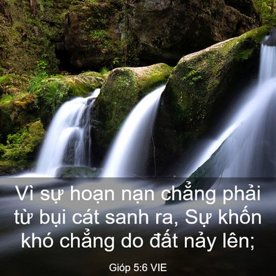 Picture 03 - Gióp 5:6 VIE - Vì sự hoạn nạn chẳng phải từ bụi - Bible Verse Picture