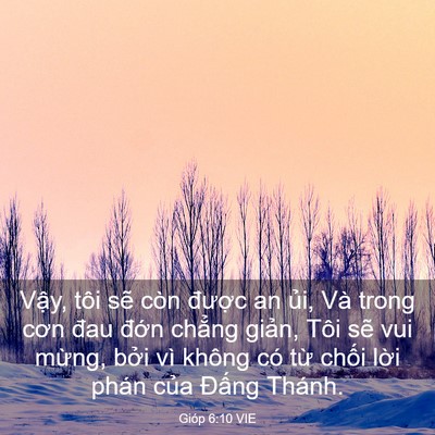 Picture 03 - Gióp 6:10 VIE - Vậy, tôi sẽ còn được an ủi, Và trong - Bible Verse Picture