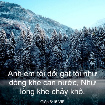 Picture 03 - Gióp 6:15 VIE - Anh em tôi dối gạt tôi như dòng khe cạn - Bible Verse Picture