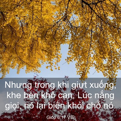 Picture 03 - Gióp 6:17 VIE - Nhưng trong khi giựt xuống, khe bèn khô - Bible Verse Picture