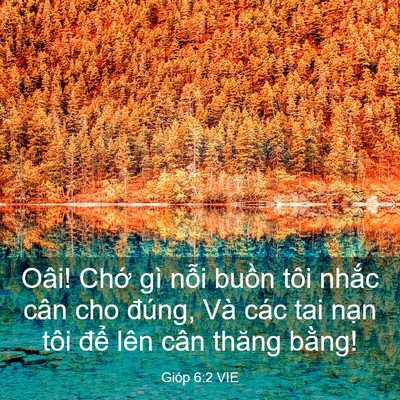 Picture 03 - Gióp 6:2 VIE - Oâi! Chớ gì nỗi buồn tôi nhắc cân cho - Bible Verse Picture