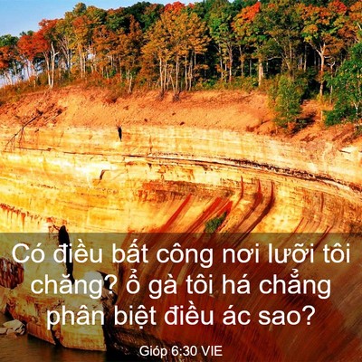 Picture 03 - Gióp 6:30 VIE - Có điều bất công nơi lưỡi tôi chăng? - Bible Verse Picture