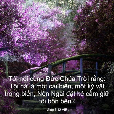 Picture 03 - Gióp 7:12 VIE - Tôi nói cùng Đức Chúa Trời rằng: Tôi - Bible Verse Picture