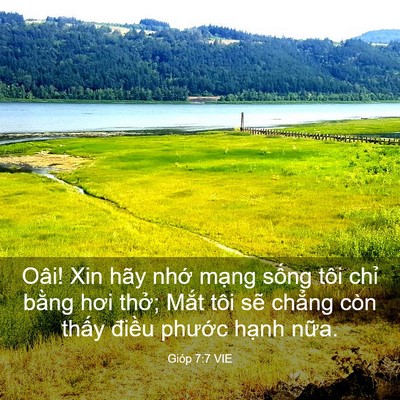 Picture 03 - Gióp 7:7 VIE - Oâi! Xin hãy nhớ mạng sống tôi chỉ - Bible Verse Picture