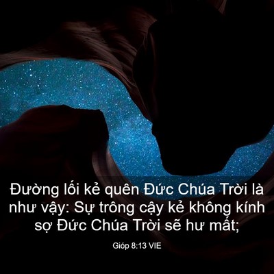 Picture 03 - Gióp 8:13 VIE - Đường lối kẻ quên Đức Chúa Trời - Bible Verse Picture
